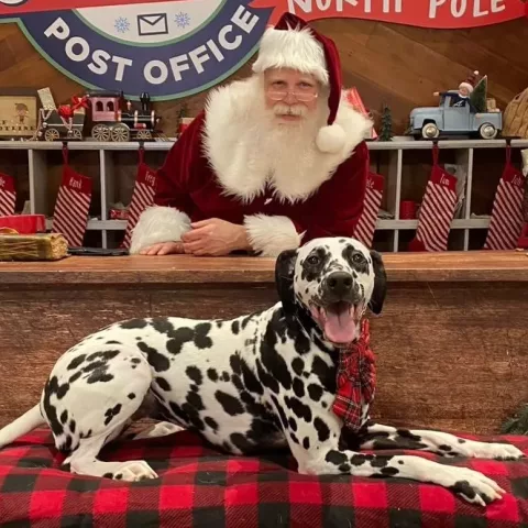 SANTA PAWS together with TRUIST
