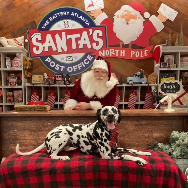 santa paws at the battery atlanta