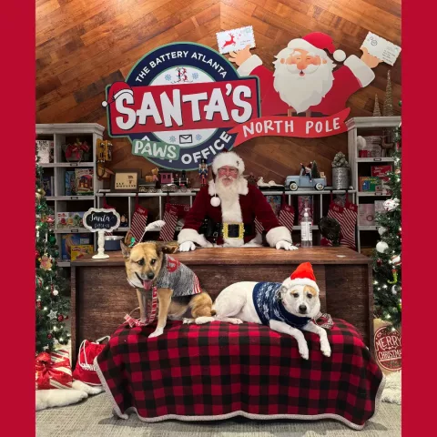 Santa PAWS presented by Truist and Boehringer-Ingelheim